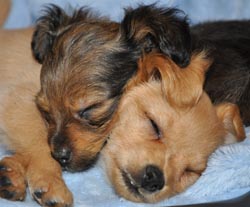 Tyra och Neo
